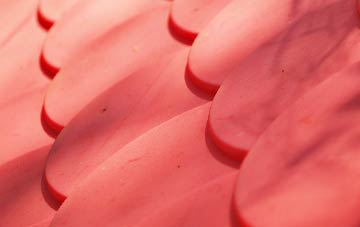 Foindle plastic roof costs