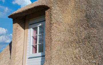 Foindle thatch roof disadvantages